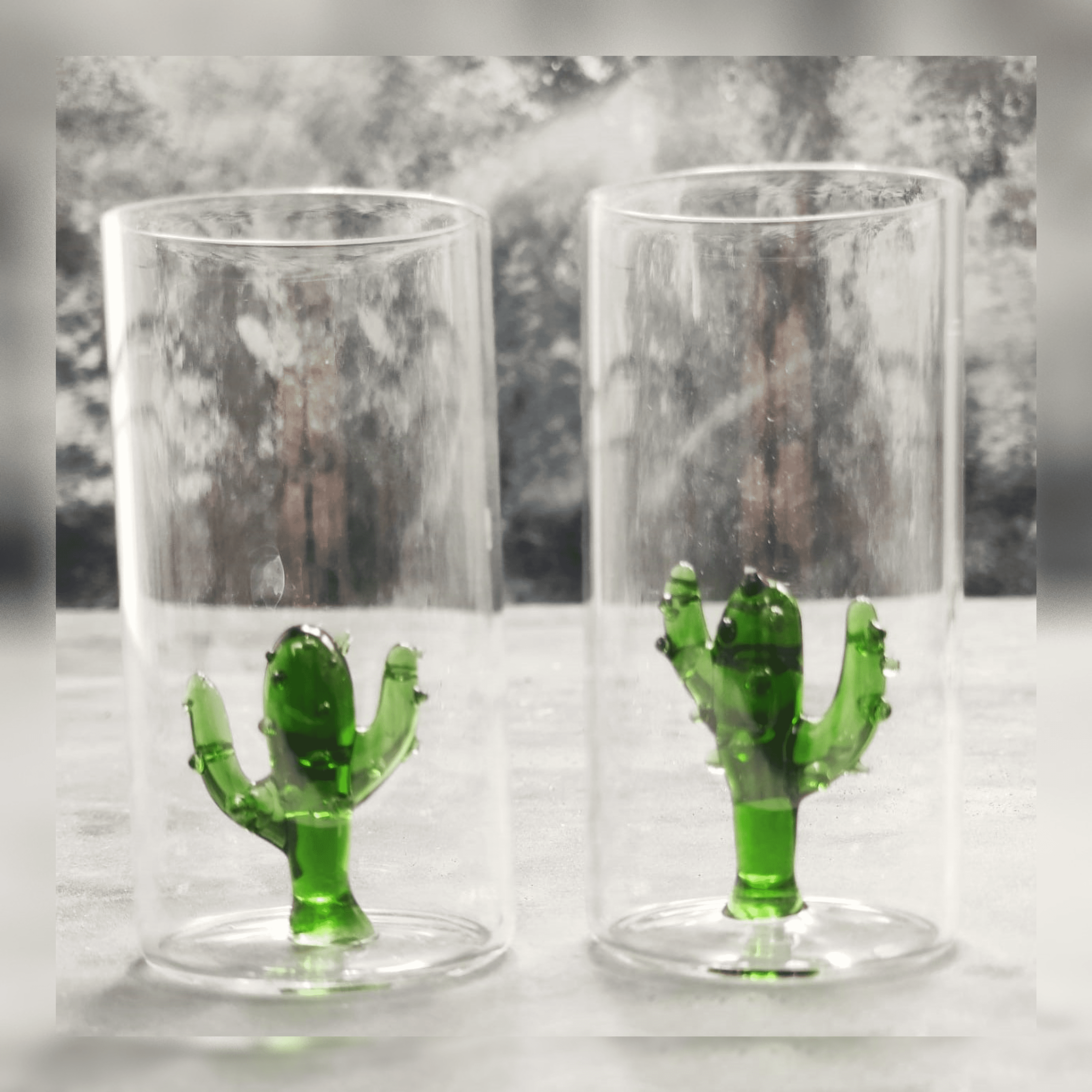 Mini Schnapsglas Kaktus 2er Set